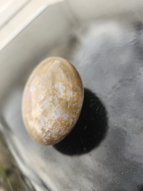 5.4 Ounce, 2.5 Inch Yellow Jasper Palm Stone