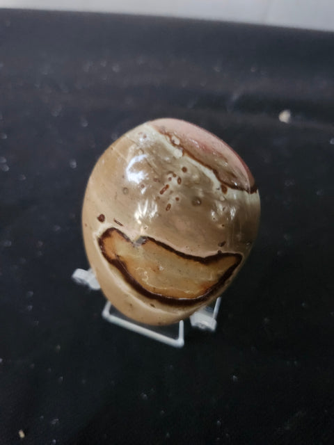 5 ounce, 2.75 inch polychrome jasper palm stone