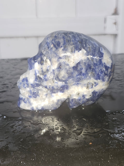 Sodalite skull!! 1 pound, 3.6 inches long, 2.7 tall, 2.3 wide