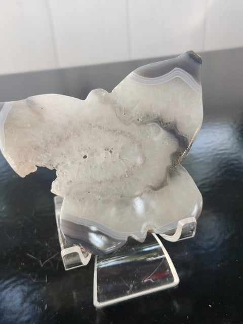 Druzy agate butterfly! 3.7 inches wide,.2.7 inches tall, 5.6 ounces