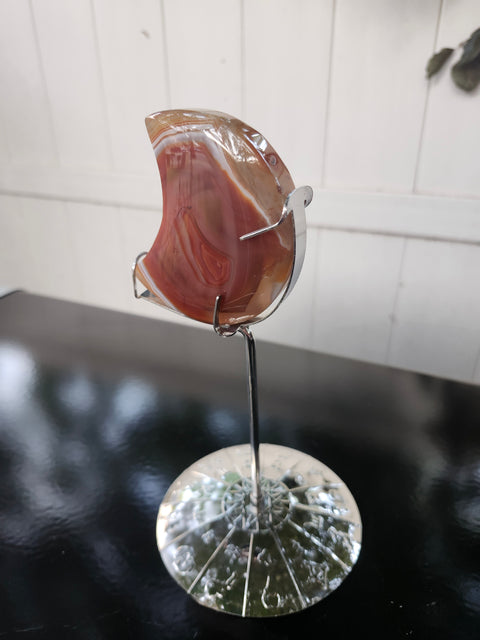 5.4 ounce carnelian moon with zodiac stand