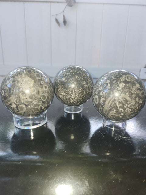 65.8mm, 2.59 inch, 14 ounce, crinoid fossil sphere!