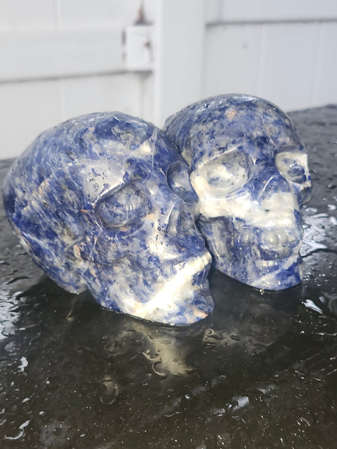 Sodalite skull!! 1 pound, 3.6 inches long, 2.7 tall, 2.3 wide