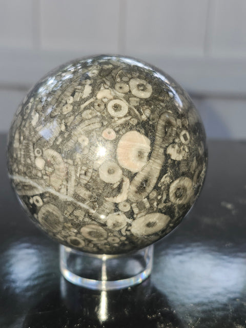 62.5mm, 2.46 inch, 12.4 ounce crinoid fossil sphere