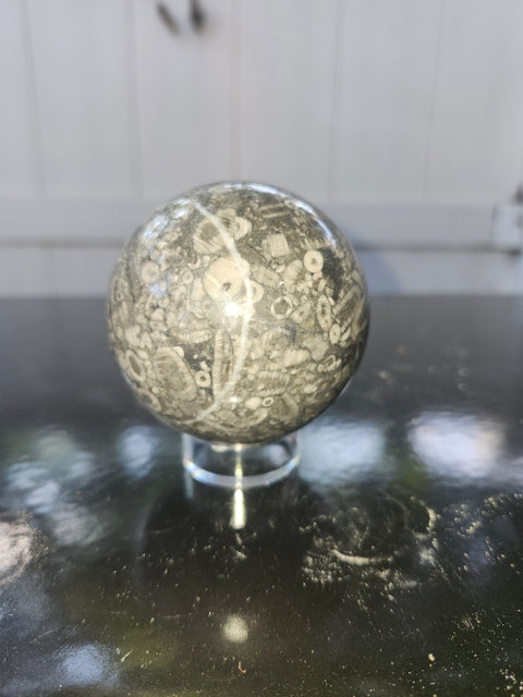 62.5mm, 2.46 inch, 12.4 ounce crinoid fossil sphere