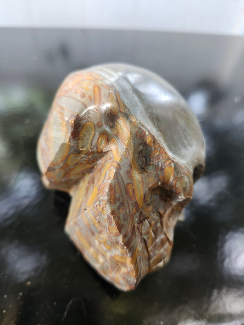 Fruit jasper skull, 1.3 pounds, 3.75 inches long, 3 inches tall, 2.5 inches wide