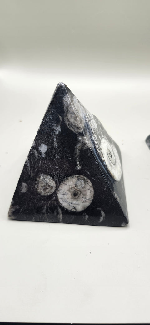 Orthoceras pyramid! 13 ounces 3 inches