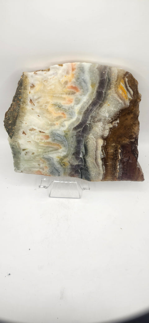 Multi color agate slab! 5.6 inch by 5.4 inch 1.6 pounds