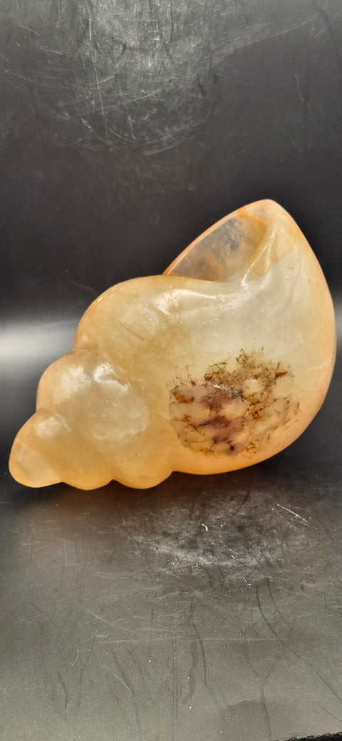 Fire quartz conch shell! 1.12 pounds, 5 inchs long, 2.7 wide