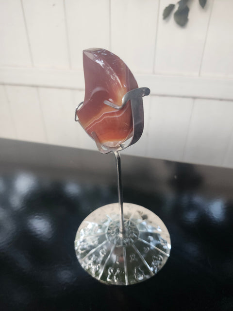 4.6 ounce carnelian moon with zodiac stand