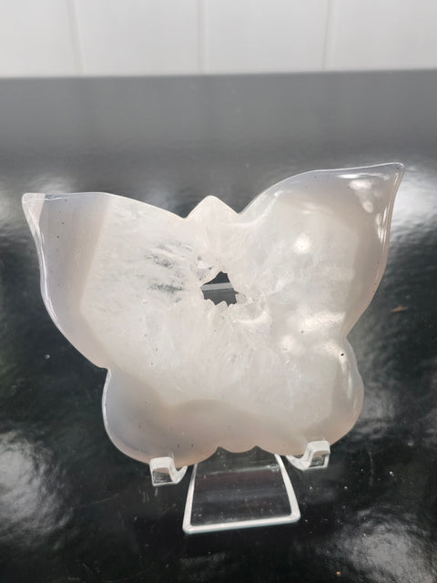 Druzy agate butterfly! 5 ounces, 4 inches wide, 3 inches tall