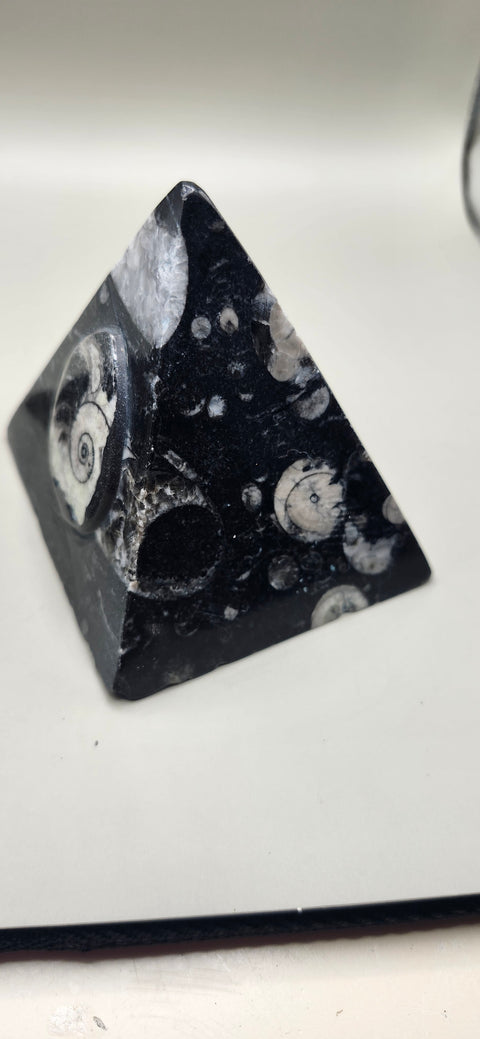 Orthoceras pyramid! 13 ounces 3 inches