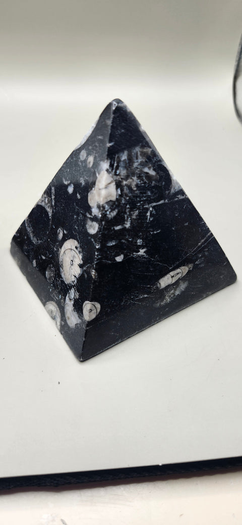 Orthoceras pyramid! 13 ounces 3 inches