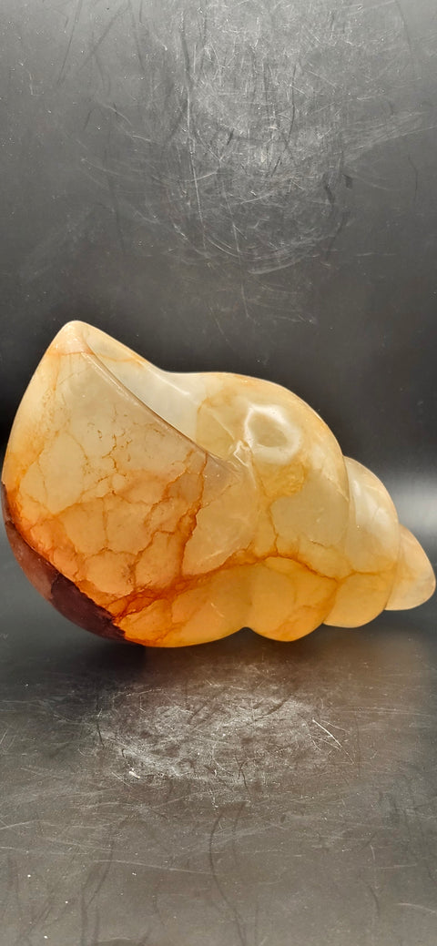 Fire quartz conch shell! 1.12 pounds, 5 inchs long, 2.7 wide