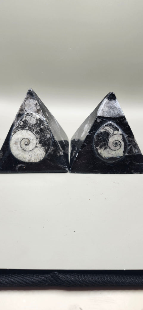 Orthoceras pyramid! 13 ounces 3 inches