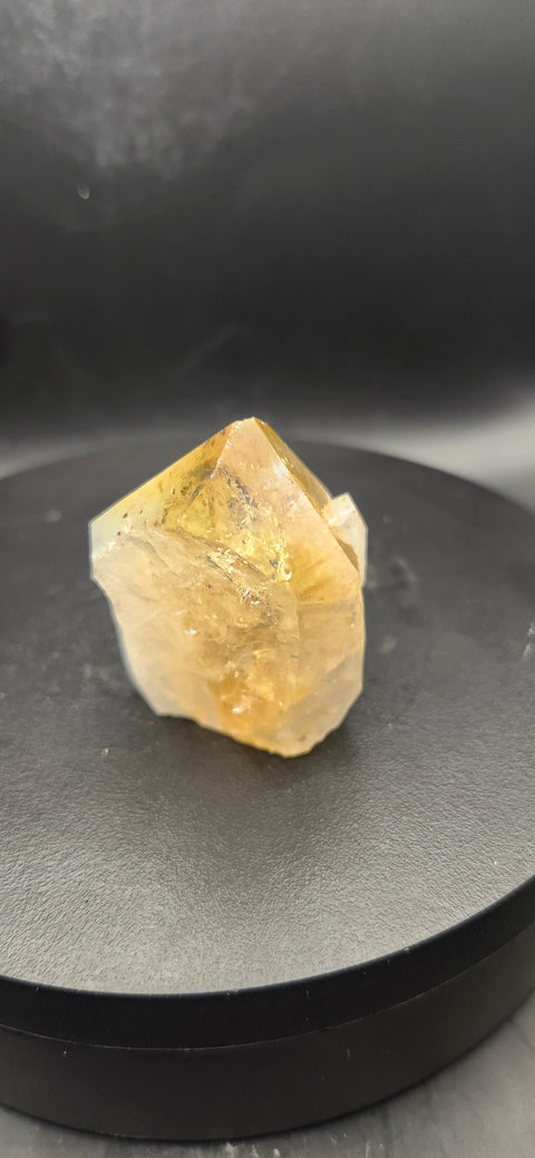 Angel aura citrine polished top point. 2 ounces