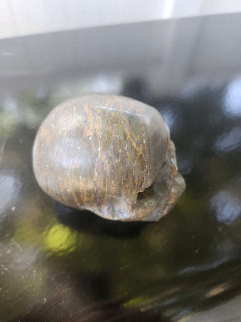 Green jasper skull, 1.4 pounds, 4 inches long, 3 inches tall, 3 inches wide