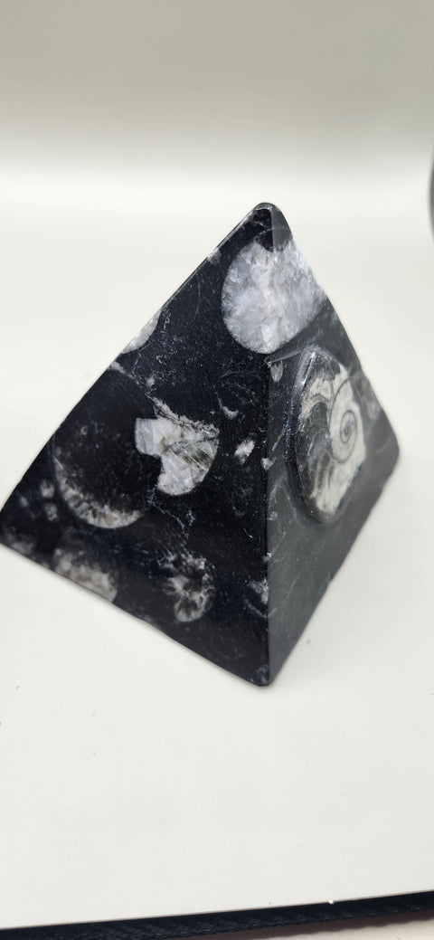 Orthoceras pyramid! 13 ounces 3 inches
