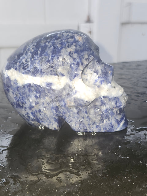 Sodalite skull!! 1 pound, 3.6 inches long, 2.7 tall, 2.3 wide