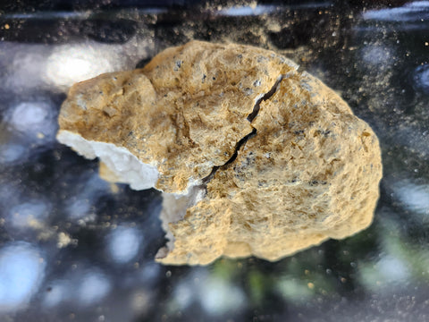 jumbo break your own geode "4.75 too 7 inches"