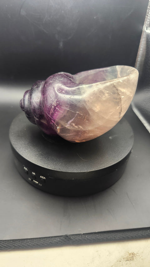 Florite conch shell offering bowl. 1.12 pounds, 4.6 inches long by 3.1 inches wide