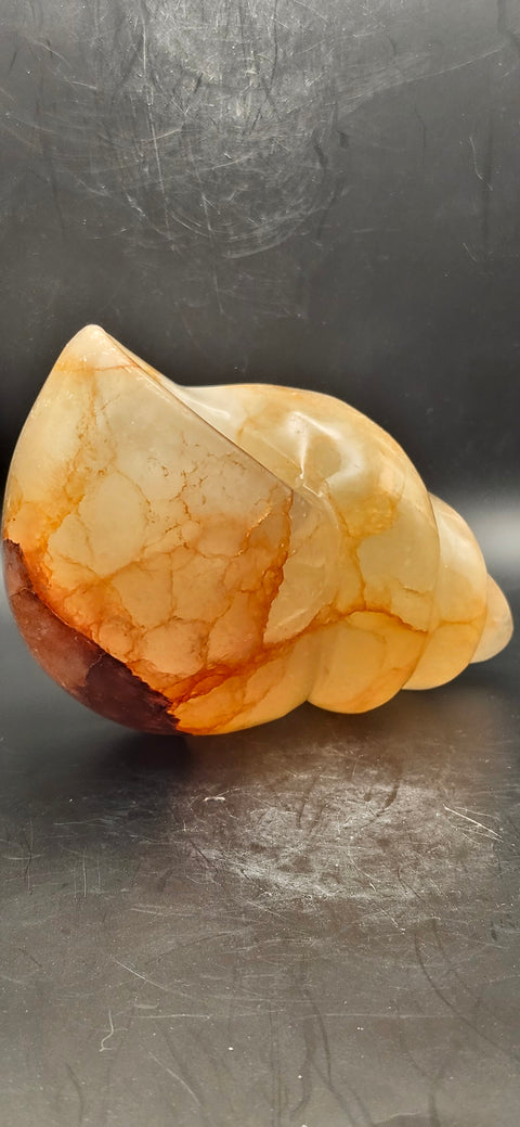 Fire quartz conch shell! 1.12 pounds, 5 inchs long, 2.7 wide