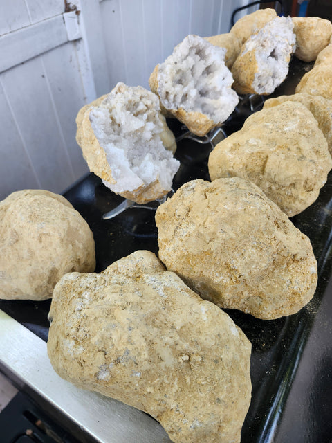 jumbo break your own geode "4.75 too 7 inches"
