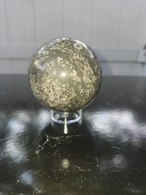 65.8mm, 2.59 inch, 14 ounce, crinoid fossil sphere!