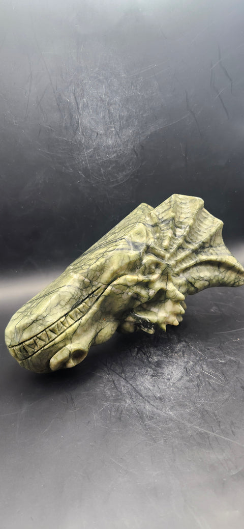 Serpentine dragon skull! 1.15 pounds, 4.5 inch head, 6.5 nose to horn