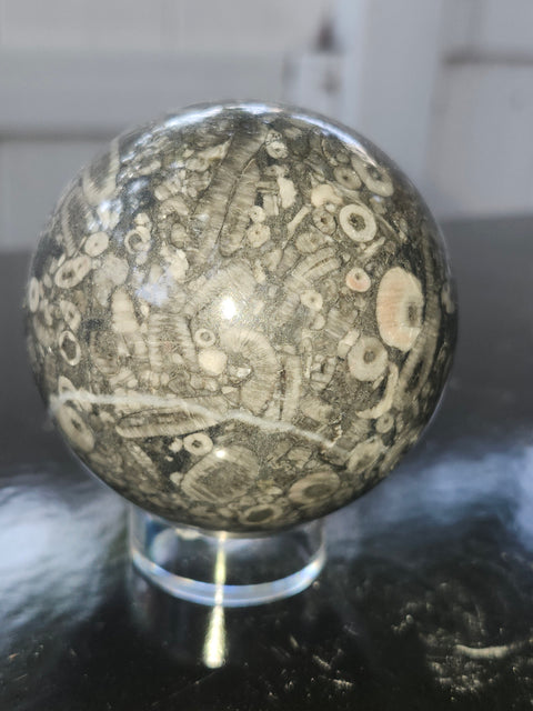 62.5mm, 2.46 inch, 12.4 ounce crinoid fossil sphere