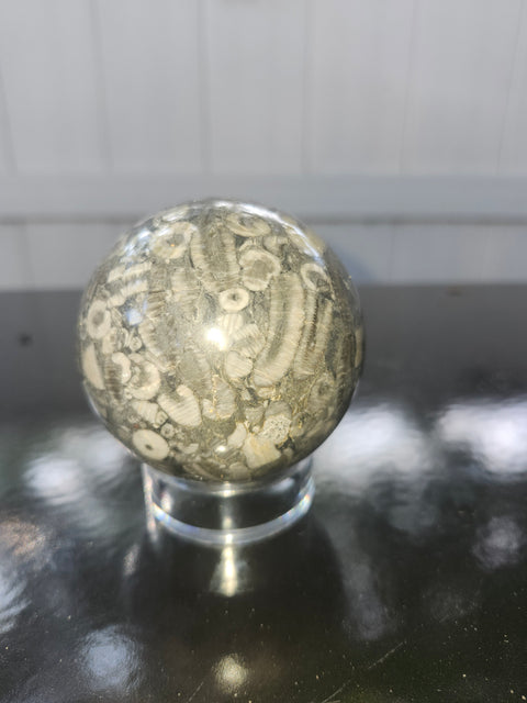 65.8mm, 2.59 inch, 14 ounce, crinoid fossil sphere!