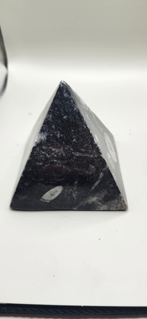 Orthoceras pyramid! 13 ounces 3 inches