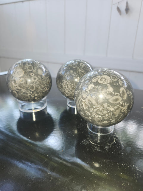 65.8mm, 2.59 inch, 14 ounce, crinoid fossil sphere!
