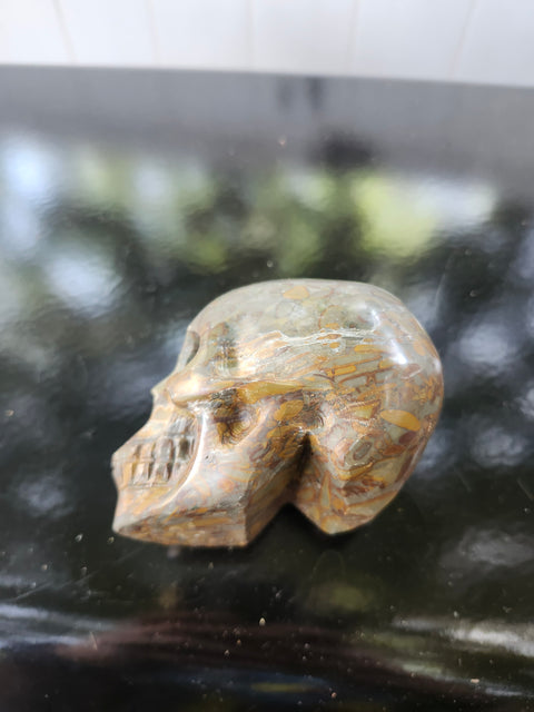 Fruit jasper skull, 1.3 pounds, 3.75 inches long, 3 inches tall, 2.5 inches wide
