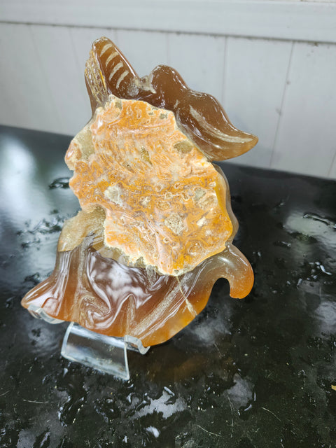 Druzy agate wolf! 9 ounces, 6 inches