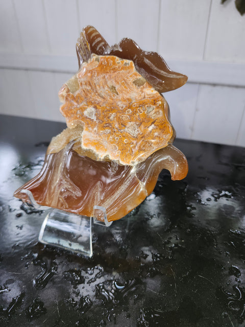 Druzy agate wolf! 9 ounces, 6 inches