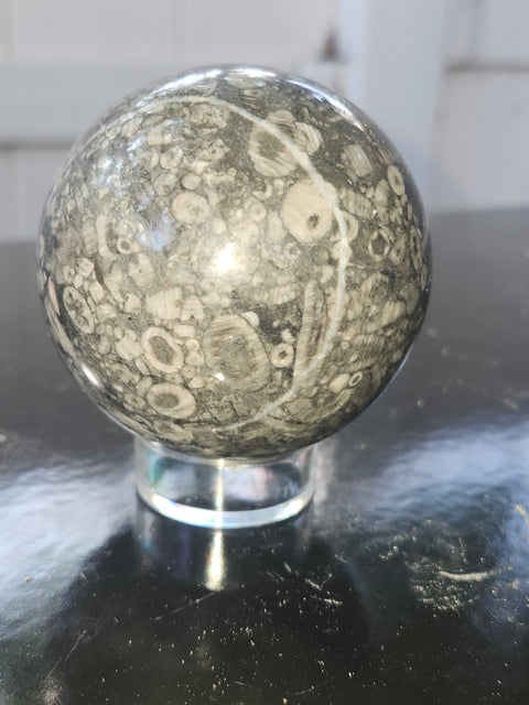 62.5mm, 2.46 inch, 12.4 ounce crinoid fossil sphere