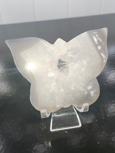Druzy agate butterfly! 5 ounces, 4 inches wide, 3 inches tall