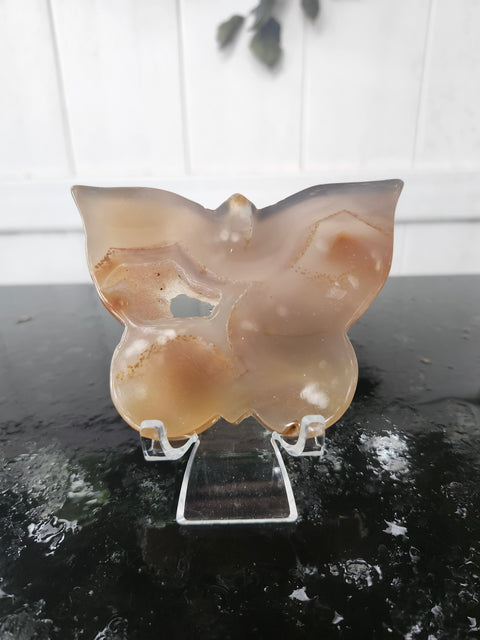Druzy agate butterfly! 5 ounces, 4 inches wide, 3 inches tall