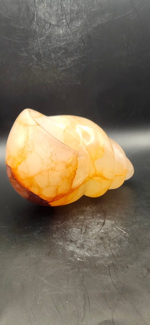 Fire quartz conch shell! 1.12 pounds, 5 inchs long, 2.7 wide