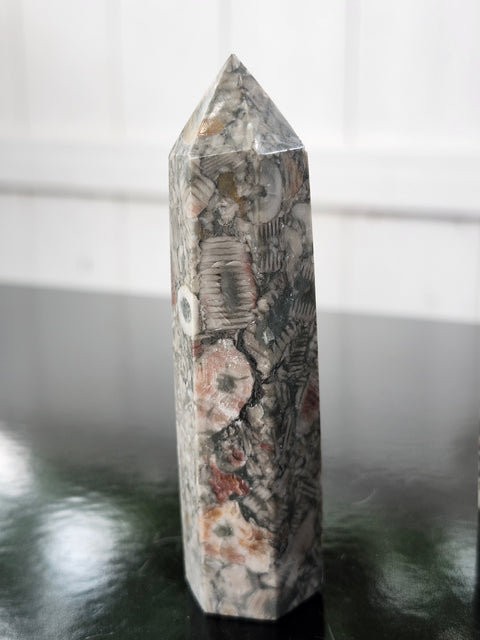 Crinoid fossil tower