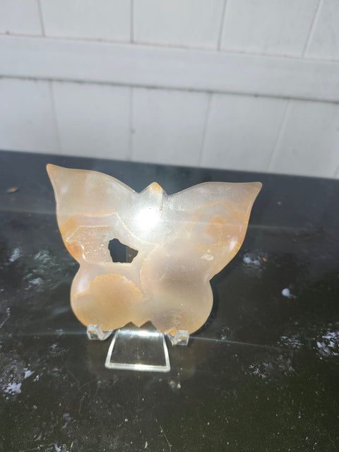 Druzy agate butterfly! 5 ounces, 4 inches wide, 3 inches tall