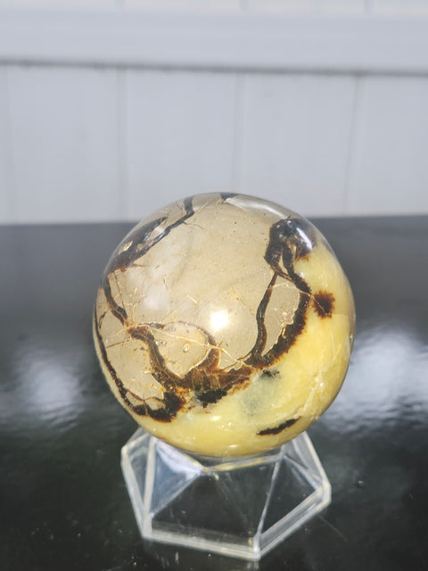 11 ounce Septarian stone sphere! 61.4 mm 2.41 inches