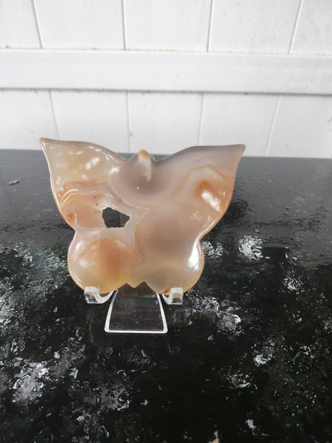 Druzy agate butterfly! 5 ounces, 4 inches wide, 3 inches tall