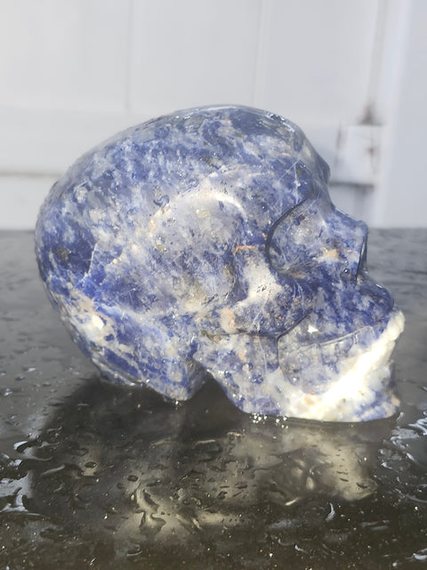 Sodalite skull!! 1 pound, 3.6 inches long, 2.7 tall, 2.3 wide
