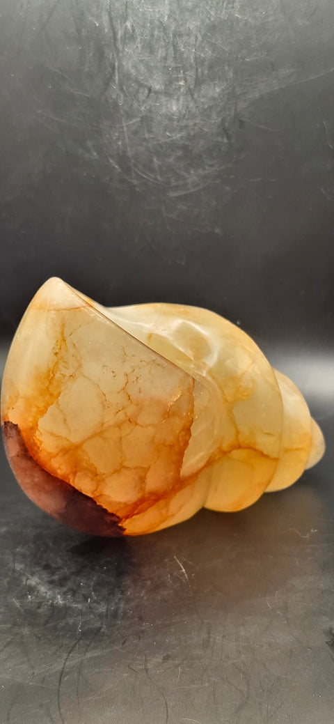 Fire quartz conch shell! 1.12 pounds, 5 inchs long, 2.7 wide