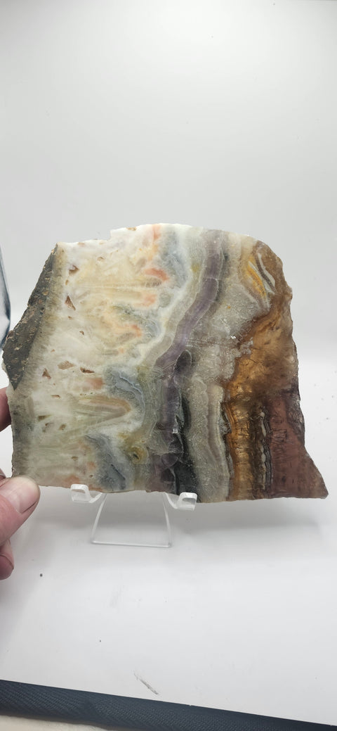 Multi color agate slab! 5.6 inch by 5.4 inch 1.6 pounds