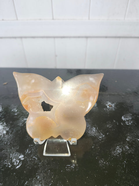 Druzy agate butterfly! 5 ounces, 4 inches wide, 3 inches tall