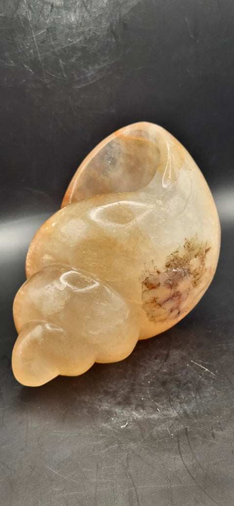 Fire quartz conch shell! 1.12 pounds, 5 inchs long, 2.7 wide