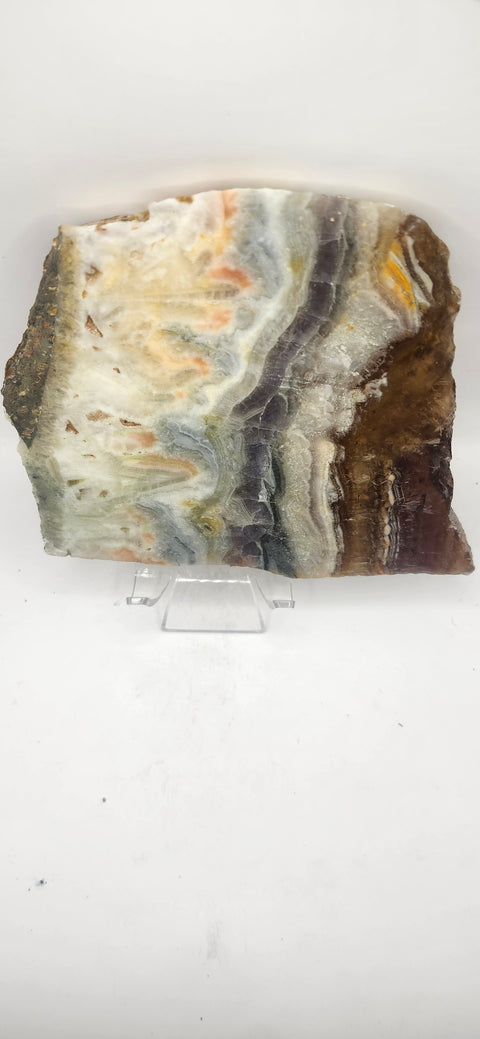 Multi color agate slab! 5.6 inch by 5.4 inch 1.6 pounds